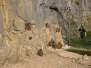  groupe de babouins (zoo de la citadelle)